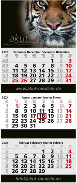 3-Monats Wandkalender, Maxi 3 Post