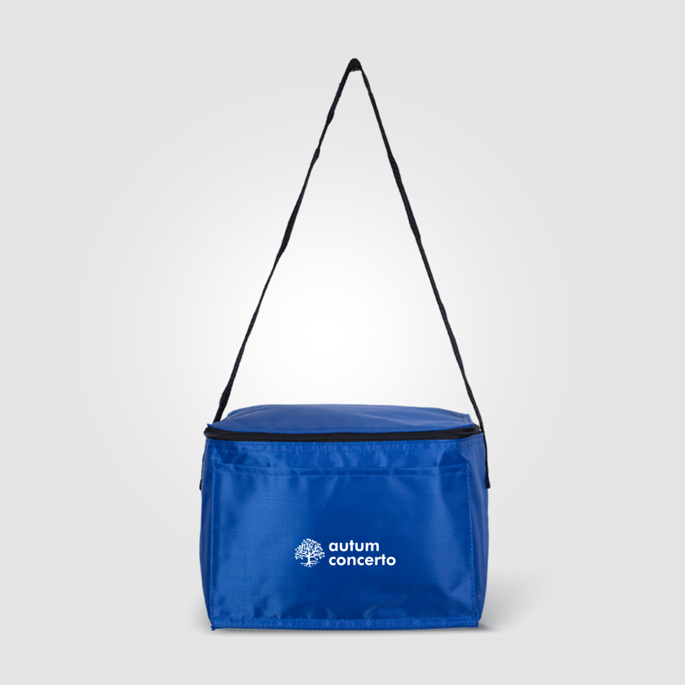 6-Pack Kühltasche