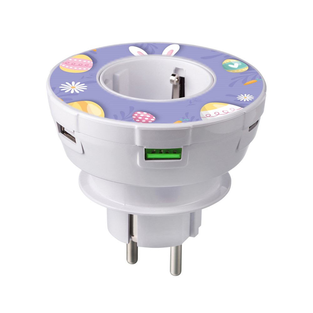 USB plug PD