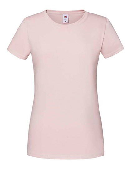 Powder Rose